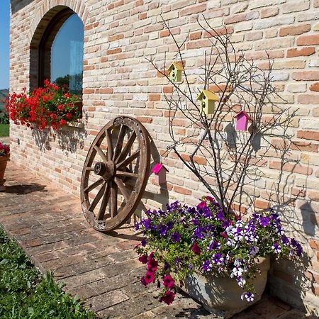 Bed and Breakfast Agriturismo Le Castella Potenza Picena Zewnętrze zdjęcie